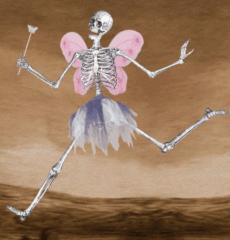 Create meme: fairy skeleton, skeleton drawing, a skeleton with wings