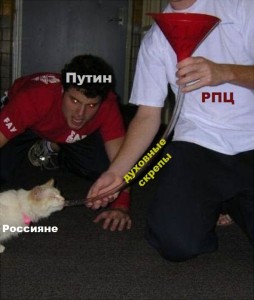 Создать мем: know your meme, фото приколы пьяных, party cat