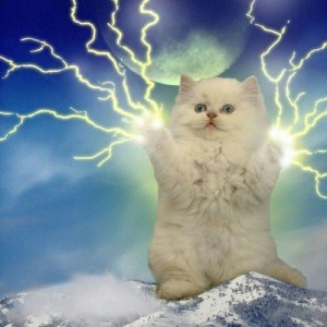 Create meme: cat, lightning