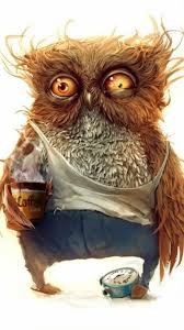 Create meme: tired owl, sleepy owl coffee, owl twitching eye