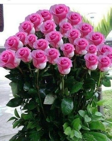 Create meme: pink roses bouquet, beautiful flowers bouquets, beautiful roses 