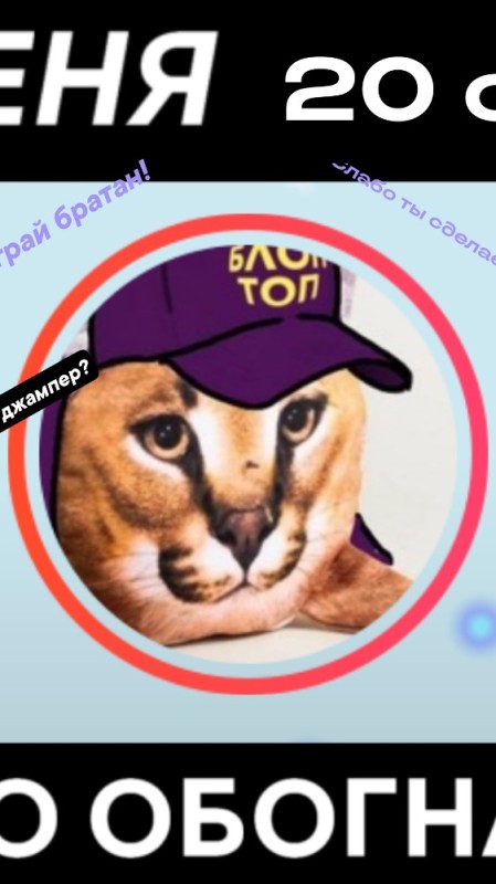 Create meme: soft toy slap bloptop, the trick , a soft toy of a slap big Russian cat