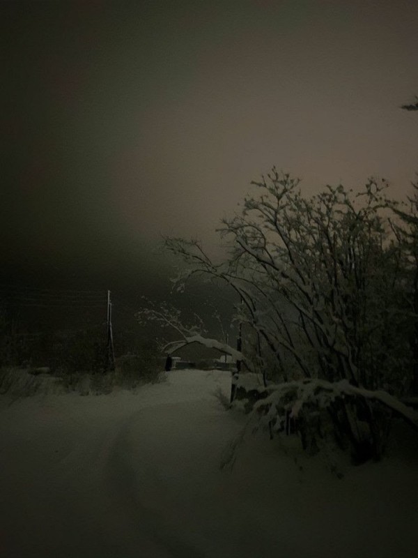 Create meme: Night winter forest, winter night, the landscape is gloomy