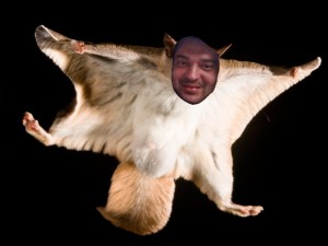 Create meme: the flying squirrel in flight