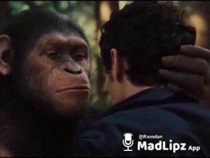 Create meme: Rise of the planet of the apes, planet of the apes joke, monkey