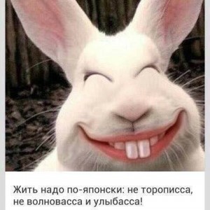 Создать мем: реклама кроликов, кролик с двумя зубами, заяц улыбается