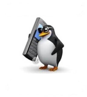 Create meme: A penguin with an mnm phone, meme penguin phone, the penguin meme
