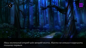 Create meme: night forest