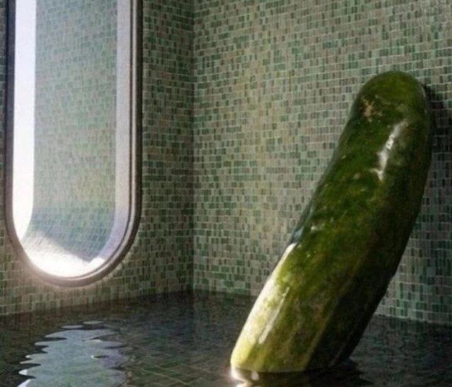 Create meme: the biggest cucumbers, the biggest cucumber, giant cucumber