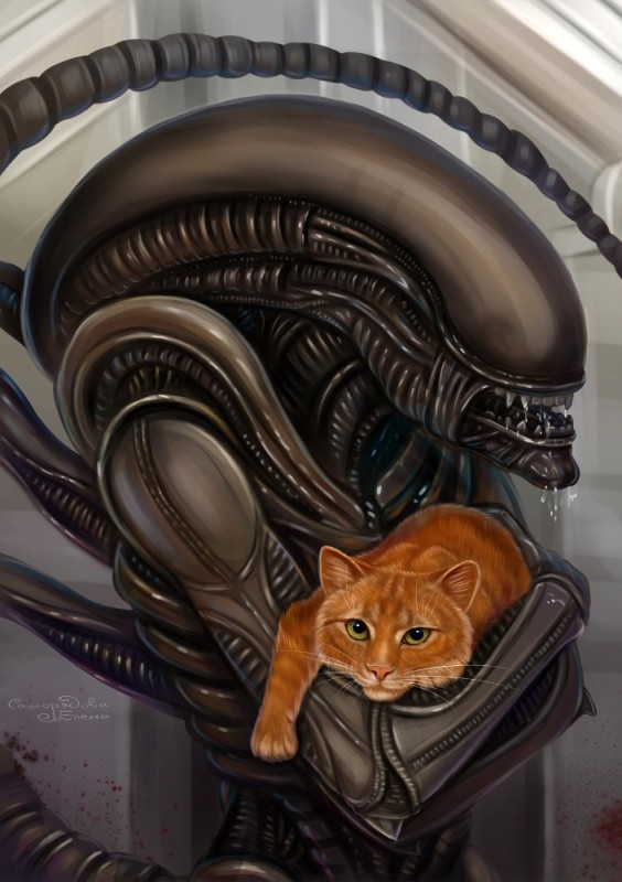 Create meme: the cat is a stranger, alien xenomorph and predator, art alien