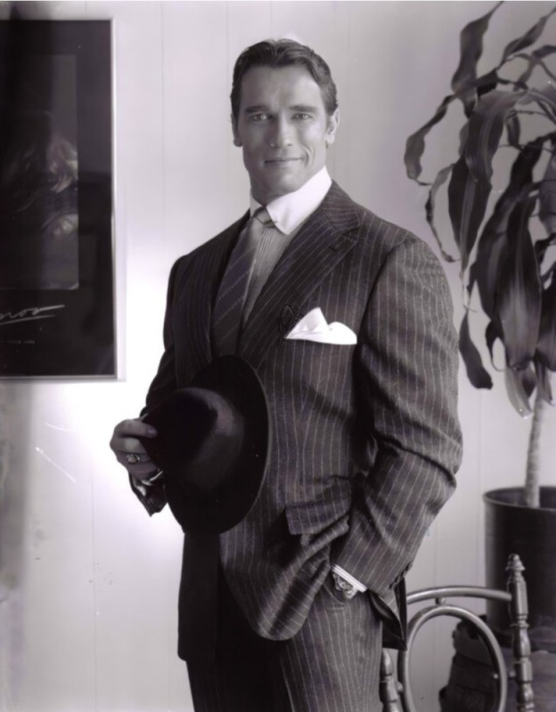 Create meme: Arnold Schwarzenegger , the young Schwarzenegger, Arnold Schwarzenegger in a suit in his youth