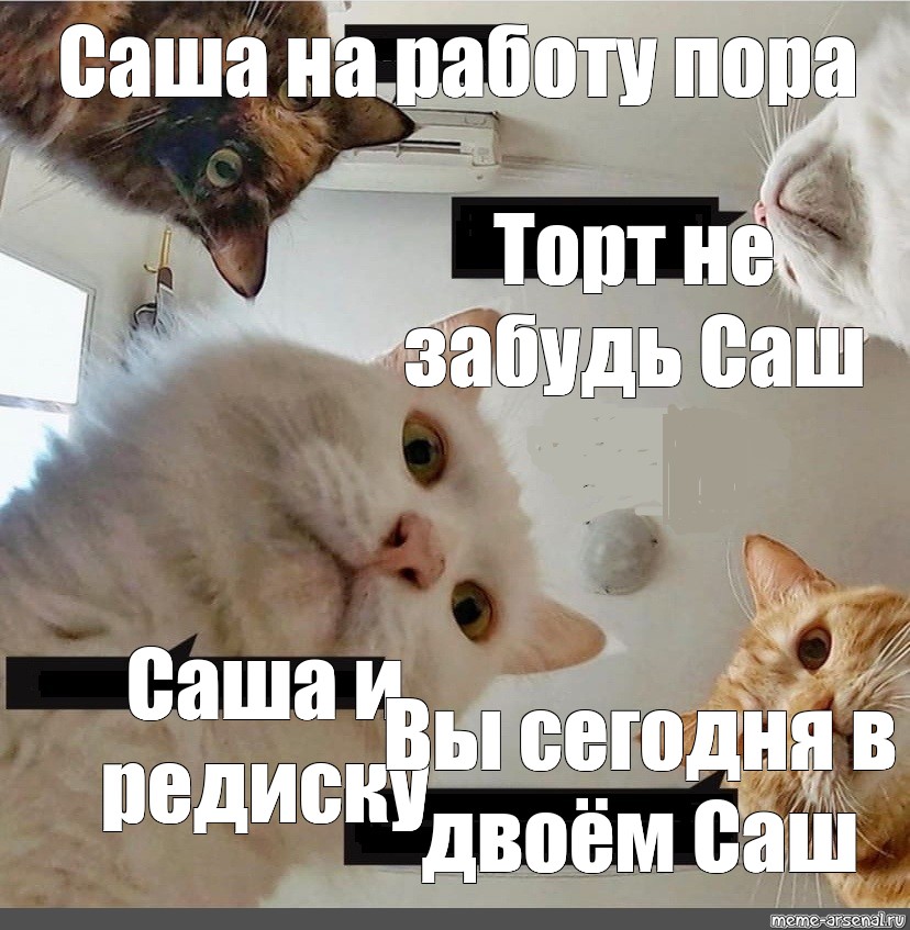 Саша забыл