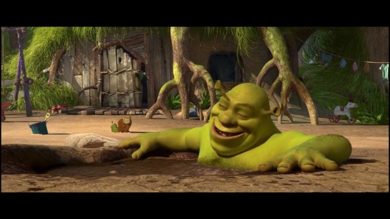 Create meme: Shrek Shrek, Shrek in the swamp meme, Shrek 