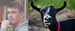 Создать мем: черный козленок, goat s head, коза смешные картинки