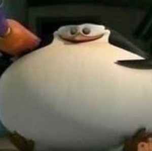 Create meme: the penguins of Madagascar, penguin