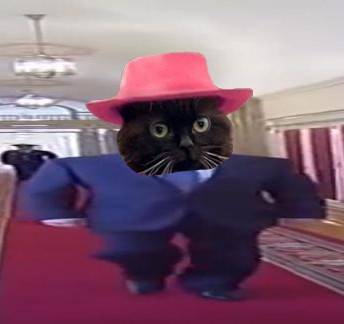 Создать мем: кот салем, чмоня кот, шляпа кот мем