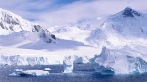 Create meme: Arctic, Antarctica