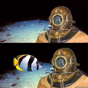 Create meme: who lives on the bottom of the ocean, pictures memes a depth of 300 meters, I at a depth of 300 meters on me