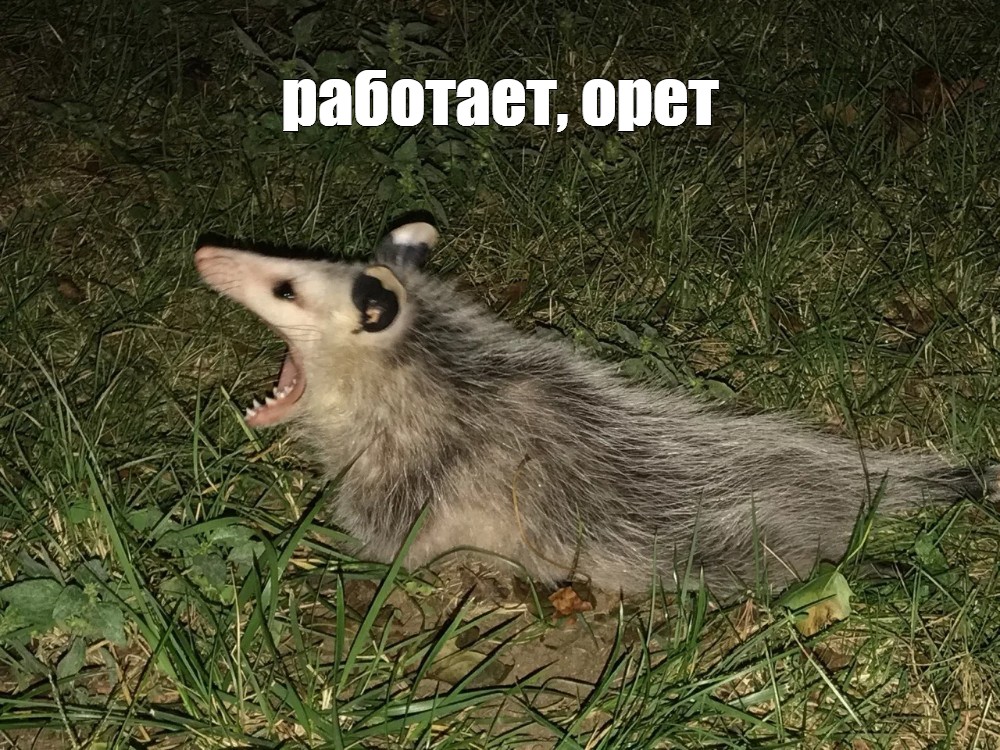 Создать мем: null