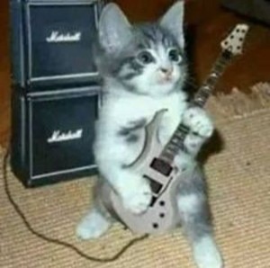 Создать мем: кот с гитарой, котёнок с электрогитарой, кот с электрогитарой