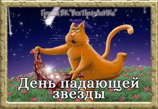 Create meme: Shooting Star Day on August 24th, The cat catches the stars, Good evening funny