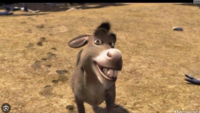 Create meme: donkey Shrek, smile donkey from Shrek, Shrek donkey