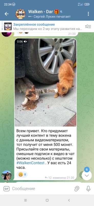 Создать мем: смешные коты, кошки, коты