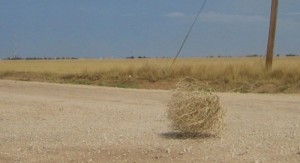 Create meme: rolling fields, empty field, tumbleweed