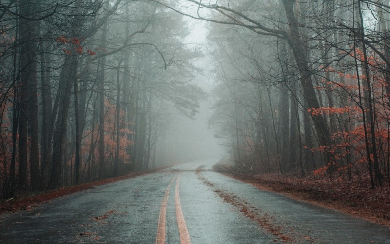 Create meme: fog road, late autumn, autumn fog