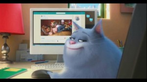 Create meme: the secret life of Pets, the secrets of Pets, the cat at the computer