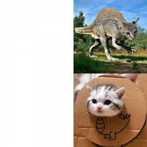 Create meme: animals jokes, kitty, cat