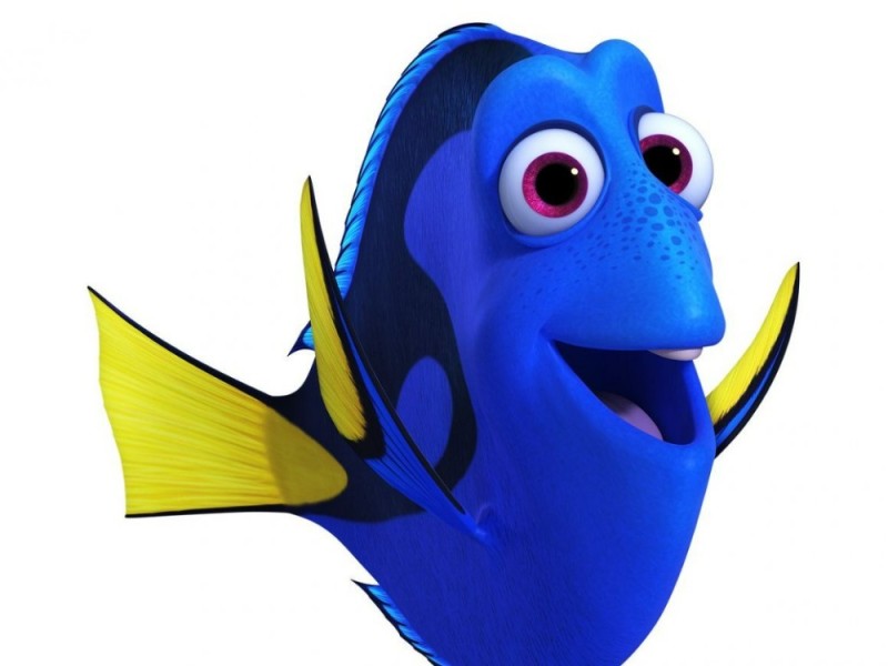 Create meme: fish Dori, fish Dori from Nemo, dori fish cartoon