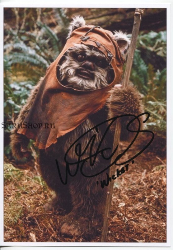 Create meme: Ewok star wars, the ewoks from star wars, ewoks 