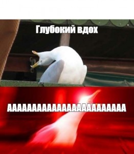 Create meme: meme goose deep breath, screaming Seagull meme, screaming Seagull meme