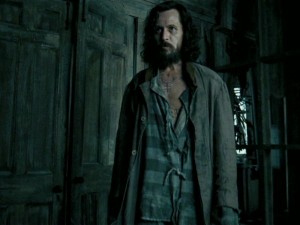 Create meme: Sirius black, the prisoner of Azkaban, Sirius black Harry Potter