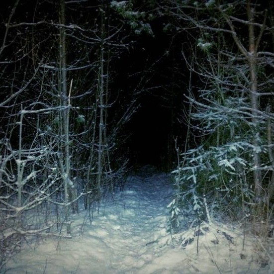 Create meme: winter forest at night, Scary forest in winter, scary winter forest