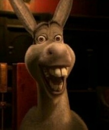 Create meme: donkey from Shrek meme, the face of the donkey from Shrek, donkey from Shrek