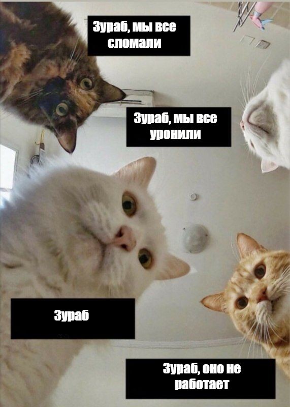 Создать мем: мемы с котами, мемы котики, мемы с котами и наташей
