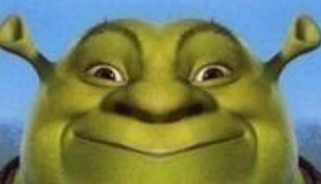 Create meme: shrek's face meme, smiling shrek, the face of Shrek