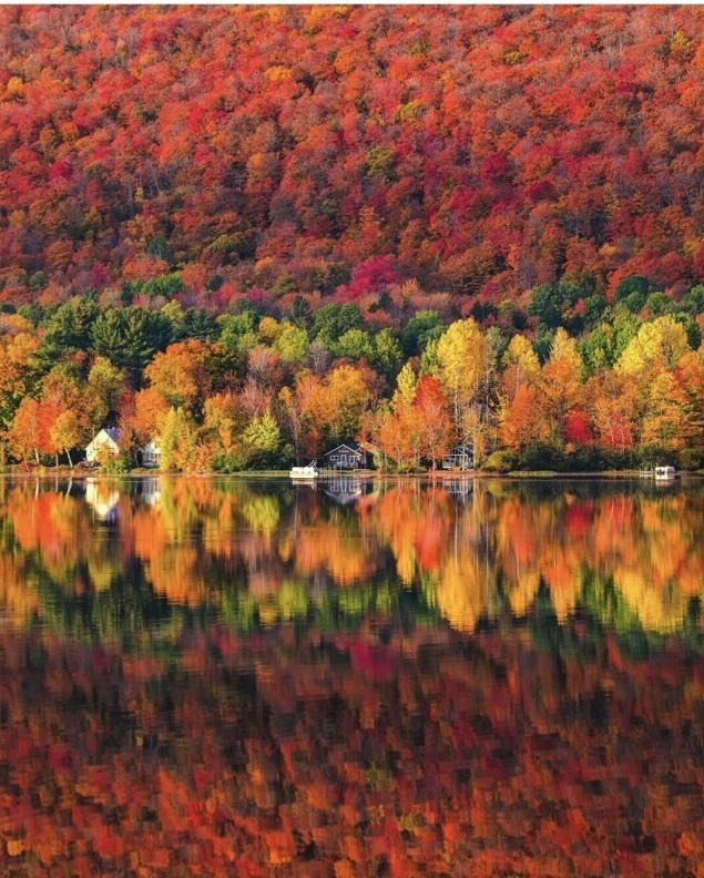 Create meme: autumn , autumn landscapes, Vermont nature