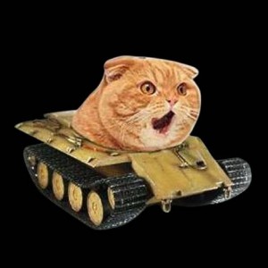 Create meme: the cat on the tank, cat tank