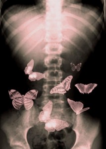 Создать мем: рентген бабочки, картинки бабочки в животе любовь, бабочки в животе фото