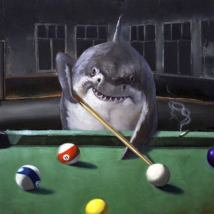 Create meme: shark shark pool, The shark painting, shark shark