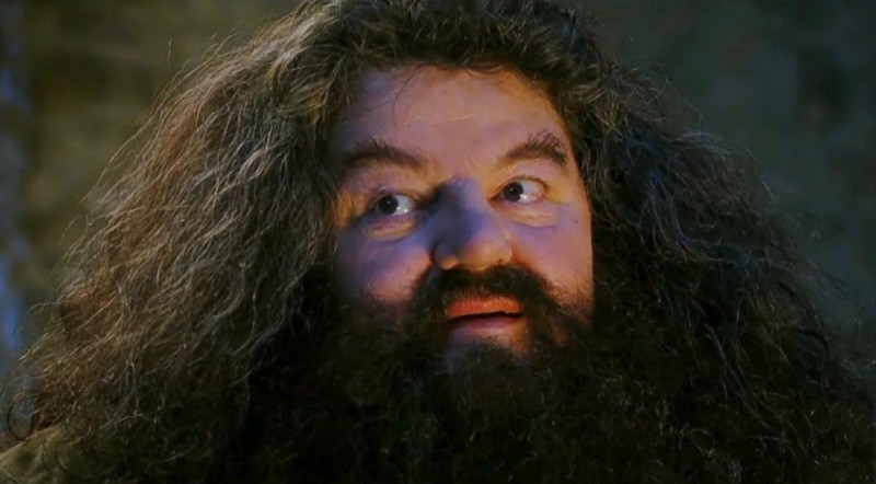 Create meme: Hagrid from Harry, hagrid the actor, Hagrid you're a wizard Harry