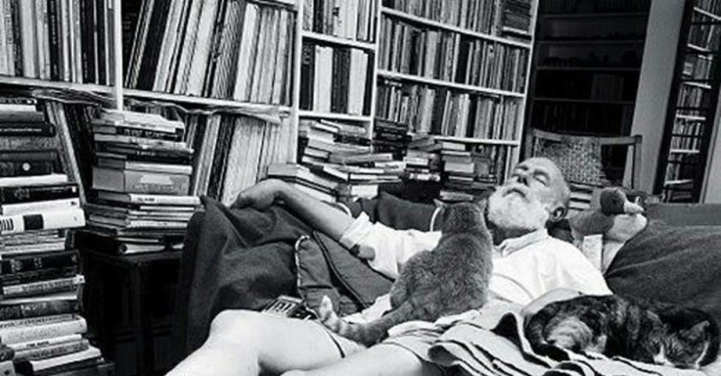 Create meme: Hemingway Ernest, Ernest Hemingway and cats, Ernest Hemingway and the Cats