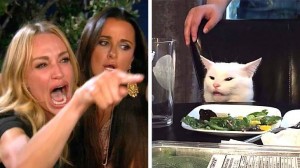 Create meme: meme with a cat and two women, memes with a cat at the table