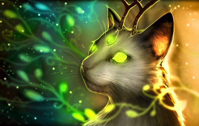 Create meme: warrior cats, fantasy animals, magic cats