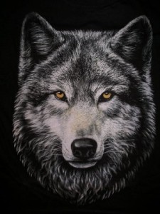 Create meme: wolf, gray wolf, the wolf pattern