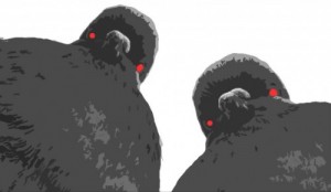 Create meme: Krovostok evil pigeons album, chants of evil pigeons flesh blood, meme pigeon