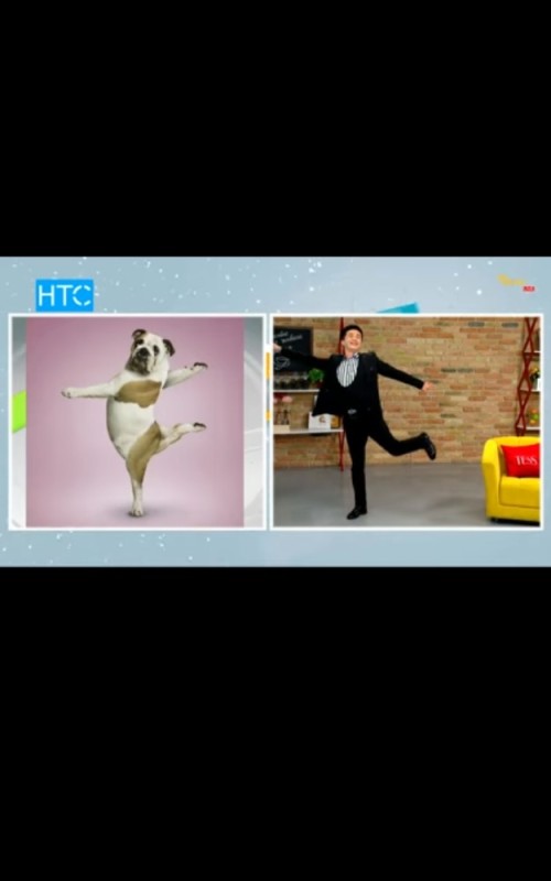 Create meme: screenshot , dancing dog, pose funny dogs